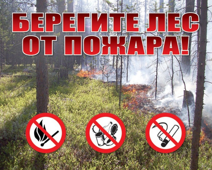 Статья ПБ на участках примыкающих к лесу 2023. Статья ПБ на участках примыкающих к лесу 2023.